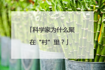 科学家为什么聚在“村”里？