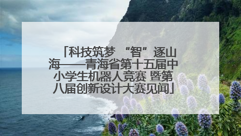 科技筑梦 “智”逐山海——青海省第十五届中小学生机器人竞赛 暨第八届创新设计大赛见闻