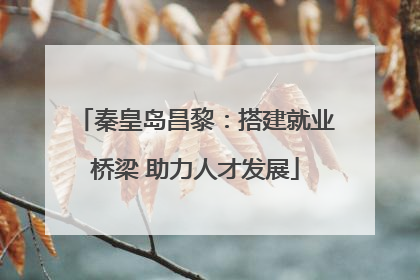 秦皇岛昌黎：搭建就业桥梁 助力人才发展