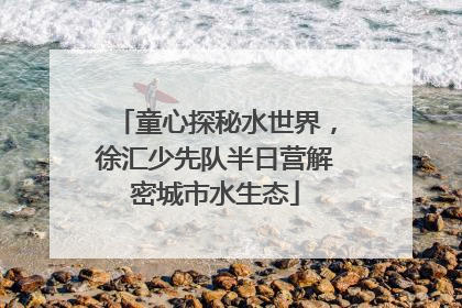 童心探秘水世界，徐汇少先队半日营解密城市水生态
