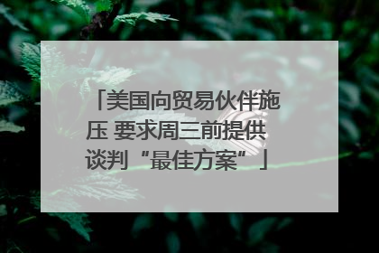 美国向贸易伙伴施压 要求周三前提供谈判“最佳方案”