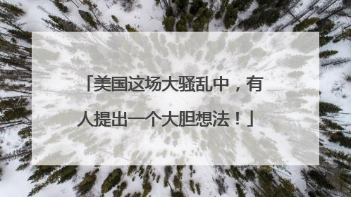美国这场大骚乱中，有人提出一个大胆想法！
