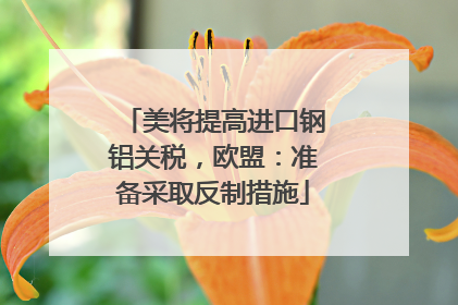 美将提高进口钢铝关税，欧盟：准备采取反制措施
