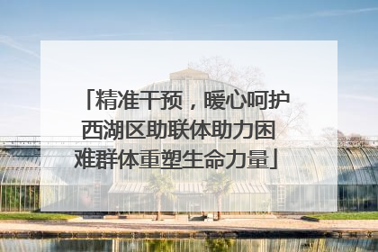 精准干预，暖心呵护 西湖区助联体助力困难群体重塑生命力量