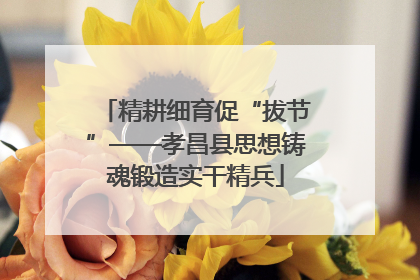 精耕细育促“拔节”——孝昌县思想铸魂锻造实干精兵