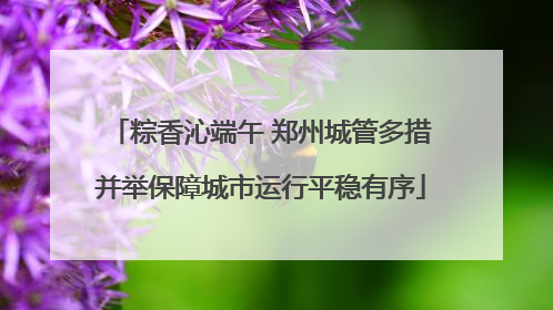 粽香沁端午 郑州城管多措并举保障城市运行平稳有序