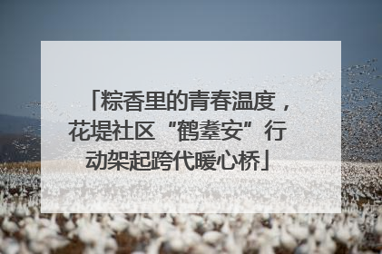 粽香里的青春温度，花堤社区“鹤耋安”行动架起跨代暖心桥