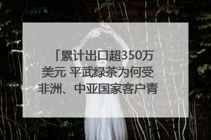 累计出口超350万美元 平武绿茶为何受非洲、中亚国家客户青睐？｜发布会观察