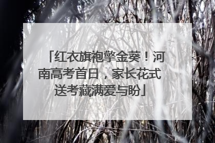红衣旗袍擎金葵！河南高考首日，家长花式送考藏满爱与盼