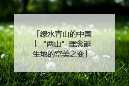 绿水青山的中国丨“两山”理念诞生地的富美之变