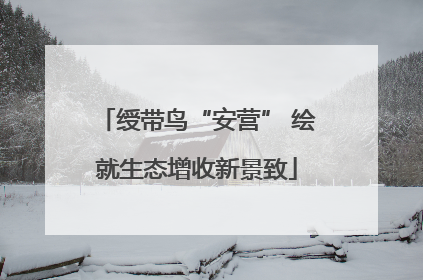绶带鸟“安营” 绘就生态增收新景致