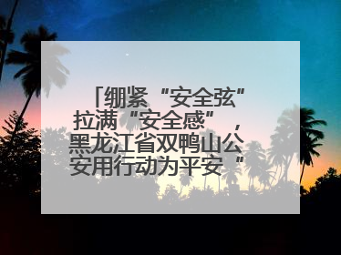 绷紧“安全弦”拉满“安全感”，黑龙江省双鸭山公安用行动为平安“加码”