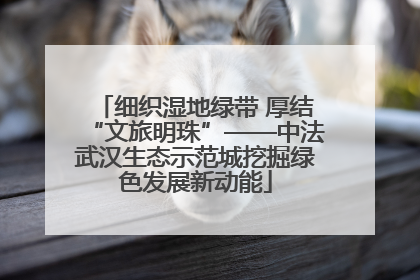 细织湿地绿带 厚结“文旅明珠”——中法武汉生态示范城挖掘绿色发展新动能