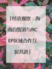 经济观察：海南自贸港与RCEP区域合作互促共进