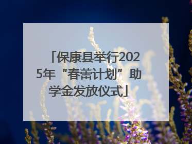 保康县举行2025年“春蕾计划”助学金发放仪式