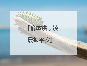 俞敏洪，凌晨报平安
