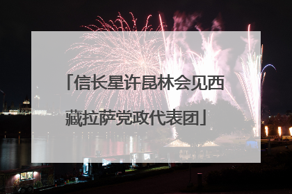 信长星许昆林会见西藏拉萨党政代表团
