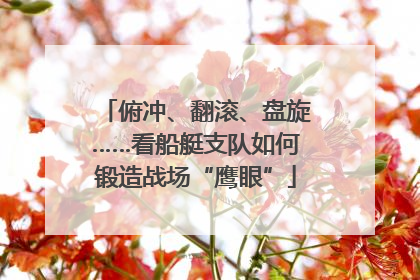 俯冲、翻滚、盘旋……看船艇支队如何锻造战场“鹰眼”
