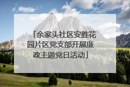 余家头社区安胜花园片区党支部开展廉政主题党日活动