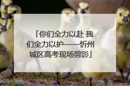 你们全力以赴 我们全力以护——忻州城区高考现场剪影