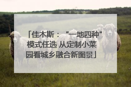 佳木斯：“一地四种” 模式任选 从定制小菜园看城乡融合新图景