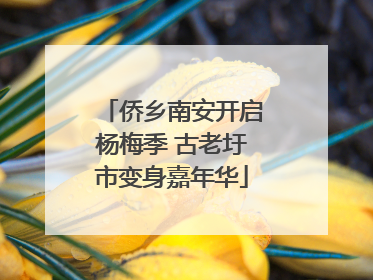 侨乡南安开启杨梅季 古老圩市变身嘉年华
