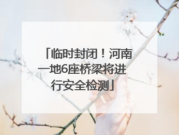 临时封闭！河南一地6座桥梁将进行安全检测