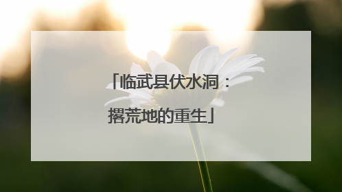 临武县伏水洞：撂荒地的重生