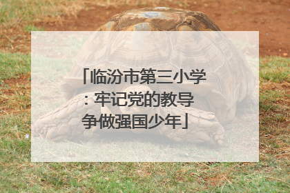 临汾市第三小学：牢记党的教导 争做强国少年