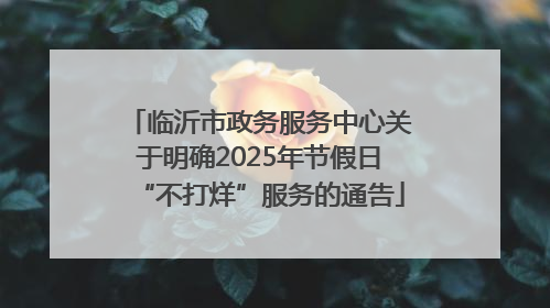 临沂市政务服务中心关于明确2025年节假日“不打烊”服务的通告