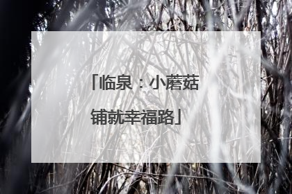 临泉：小蘑菇铺就幸福路