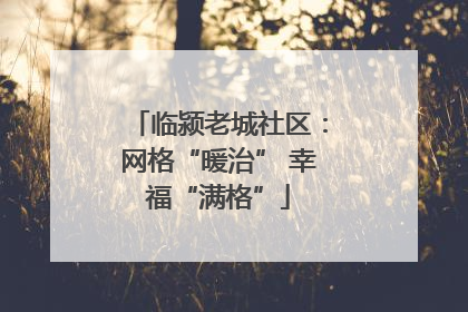 临颍老城社区：网格“暖治” 幸福“满格”