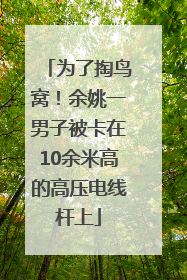 为了掏鸟窝！余姚一男子被卡在10余米高的高压电线杆上