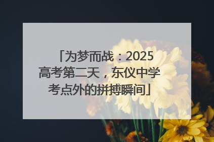 为梦而战：2025高考第二天，东仪中学考点外的拼搏瞬间