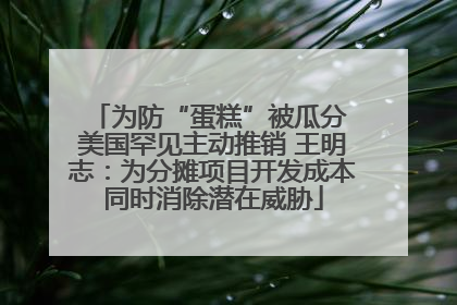 为防“蛋糕”被瓜分 美国罕见主动推销 王明志：为分摊项目开发成本同时消除潜在威胁