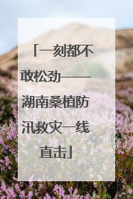 一刻都不敢松劲——湖南桑植防汛救灾一线直击