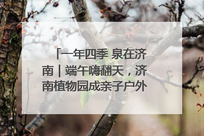 一年四季 泉在济南｜端午嗨翻天，济南植物园成亲子户外热门打卡地