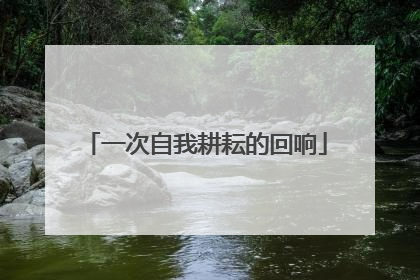 一次自我耕耘的回响