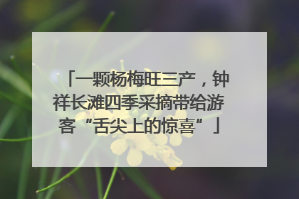 一颗杨梅旺三产，钟祥长滩四季采摘带给游客“舌尖上的惊喜”
