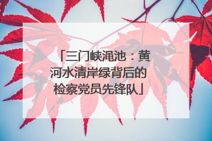 三门峡渑池：黄河水清岸绿背后的检察党员先锋队