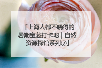上海人都不晓得的 暑期宝藏打卡地｜自然资源探馆系列②