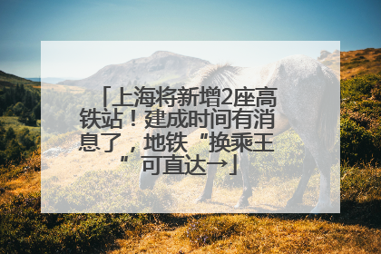 上海将新增2座高铁站！建成时间有消息了，地铁“换乘王”可直达→
