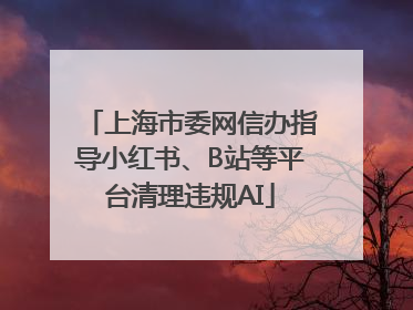 上海市委网信办指导小红书、B站等平台清理违规AI