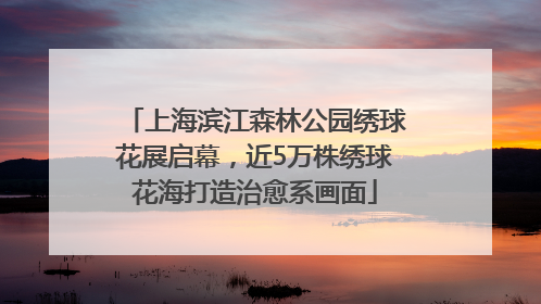 上海滨江森林公园绣球花展启幕，近5万株绣球花海打造治愈系画面
