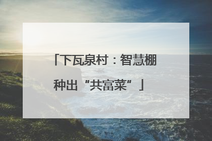 下瓦泉村：智慧棚种出“共富菜”