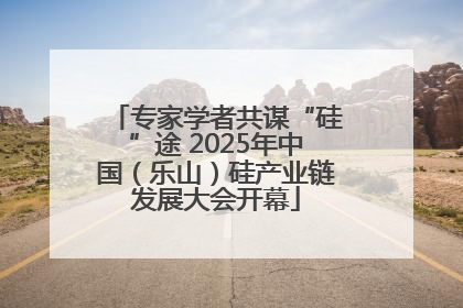 专家学者共谋“硅”途 2025年中国（乐山）硅产业链发展大会开幕