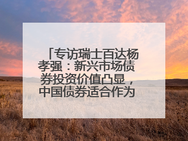 专访瑞士百达杨孝强：新兴市场债券投资价值凸显，中国债券适合作为“稳定器”