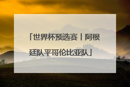 世界杯预选赛丨阿根廷队平哥伦比亚队