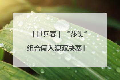 世乒赛｜“莎头”组合闯入混双决赛