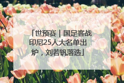 世预赛｜国足客战印尼25人大名单出炉，刘若钒落选